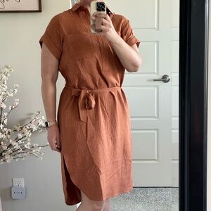 Belted Rust Dress